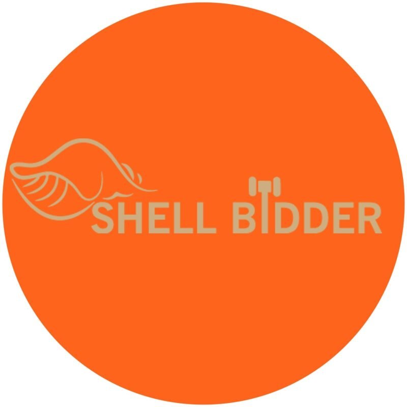 shellbidder.com